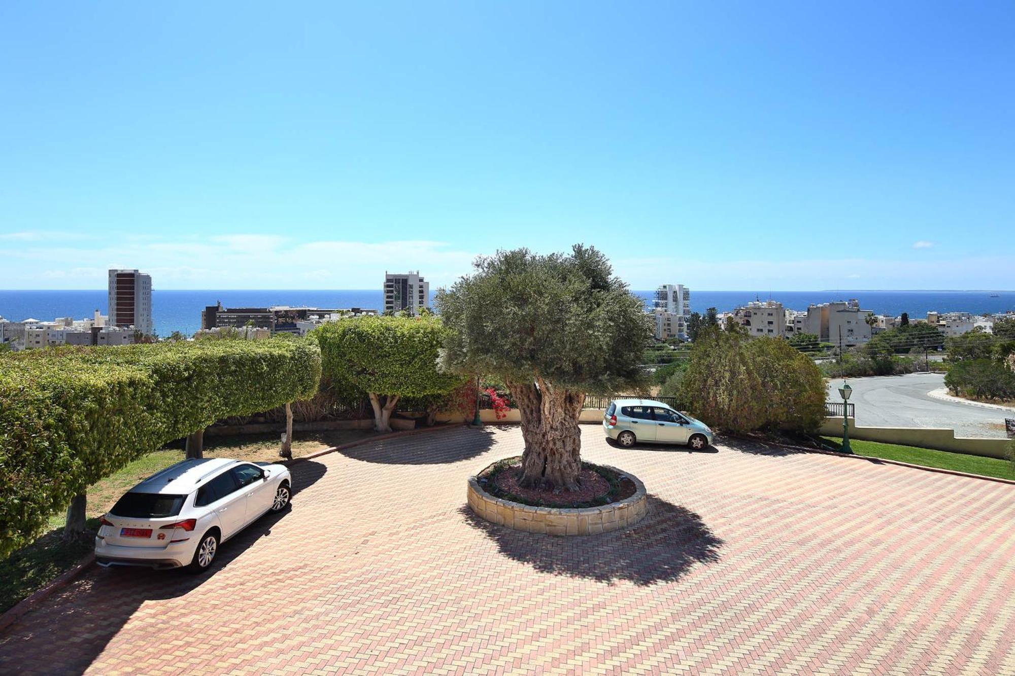 Olive Tree Apartments Limasol Dış mekan fotoğraf