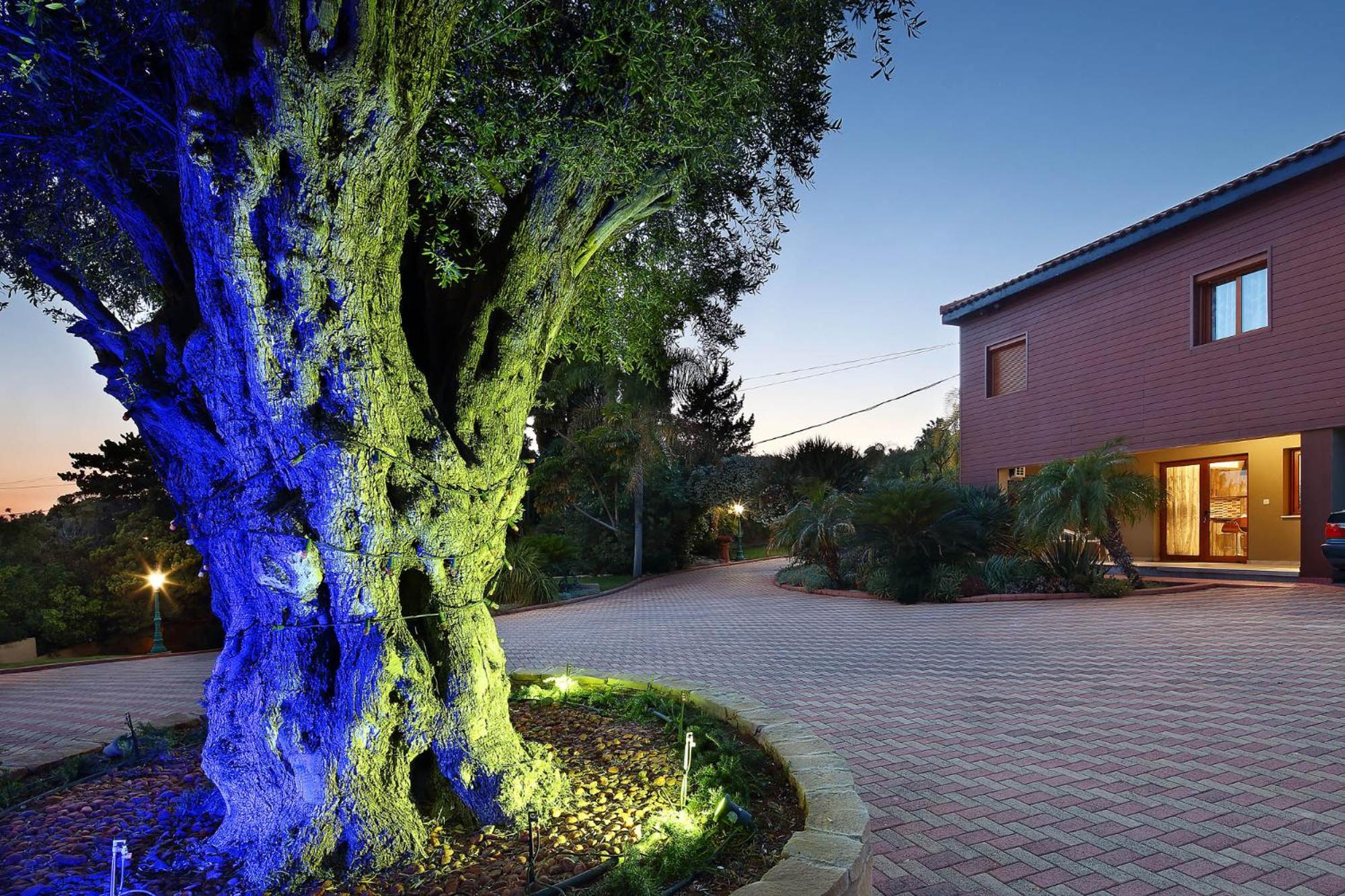 Olive Tree Apartments Limasol Dış mekan fotoğraf