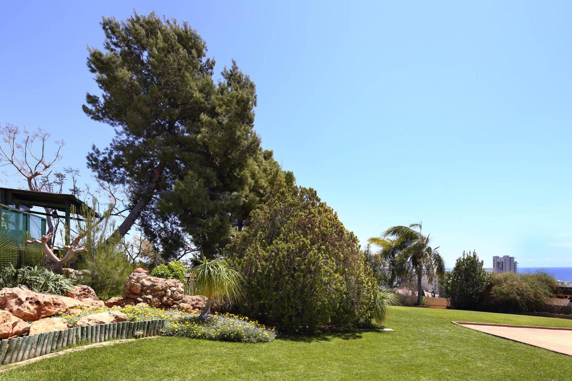 Olive Tree Apartments Limasol Dış mekan fotoğraf