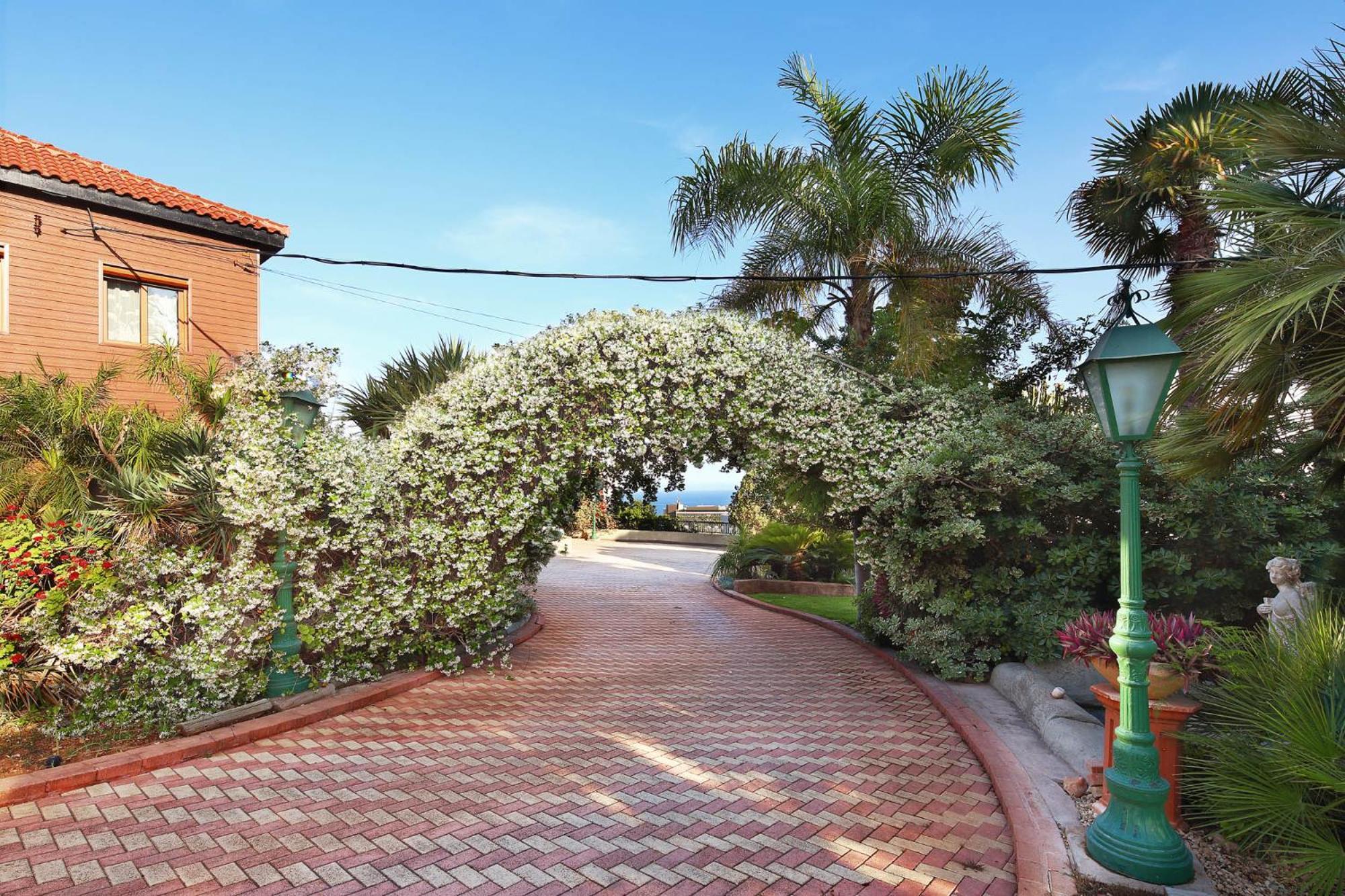 Olive Tree Apartments Limasol Dış mekan fotoğraf