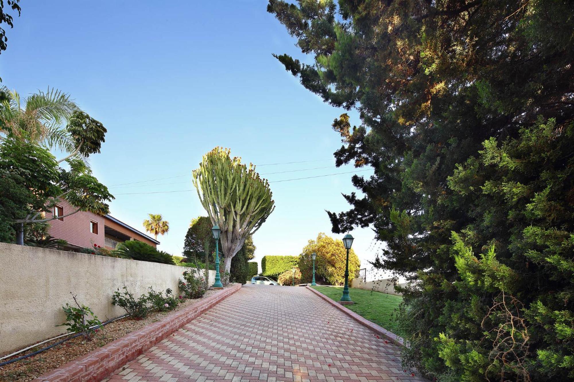 Olive Tree Apartments Limasol Dış mekan fotoğraf